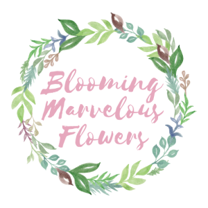 Blooming marvellous flowers